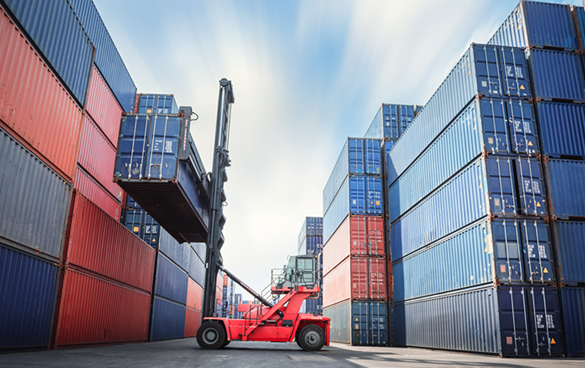 hamriyah free zone company formation consultant
